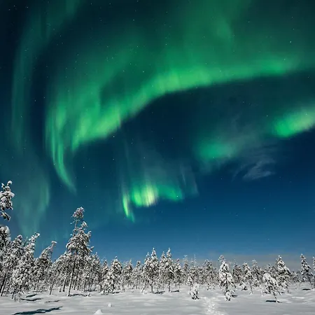 Huvilat Wikkelä Ranua