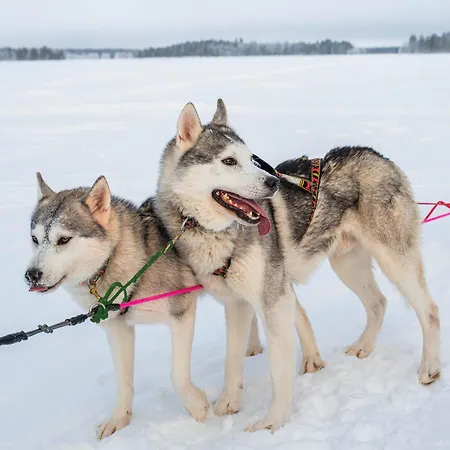 Vila Exclusive Wikkelae With Sauna & Jacuzzi *