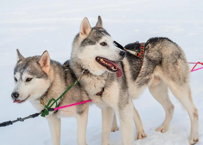 Βίλα Exclusive Wikkelae With Sauna & Jacuzzi *