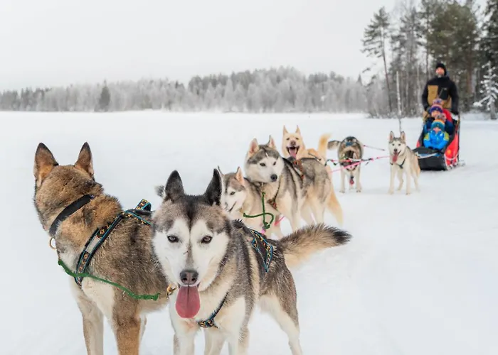 Exclusive Wikkelae With Sauna & Jacuzzi Βίλα Ranua