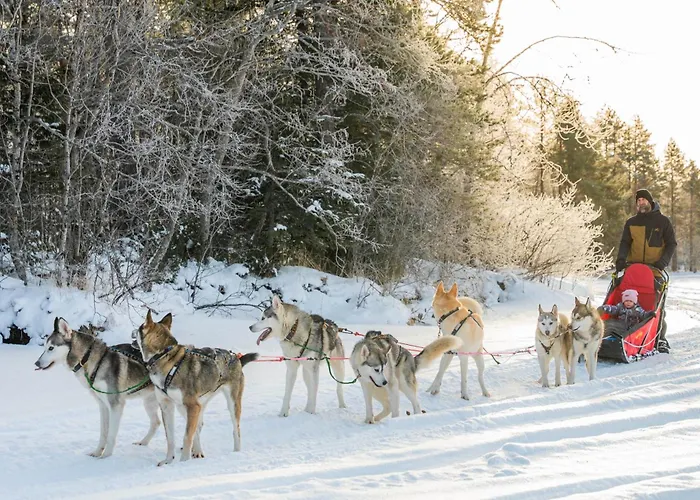 别墅 Exclusive Wikkelae With Sauna & Jacuzzi 拉努阿